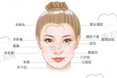 上海名媛医疗美容医院预约挂号方式：