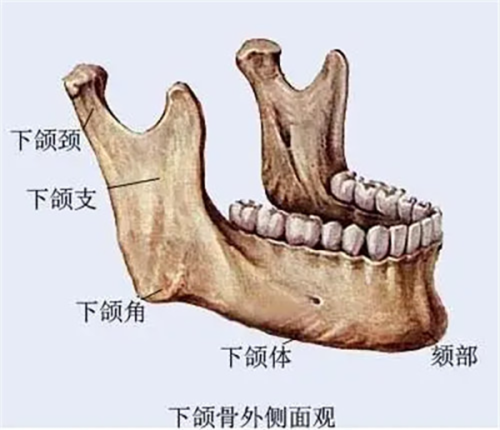 二、贵阳美莱整形怎么样？