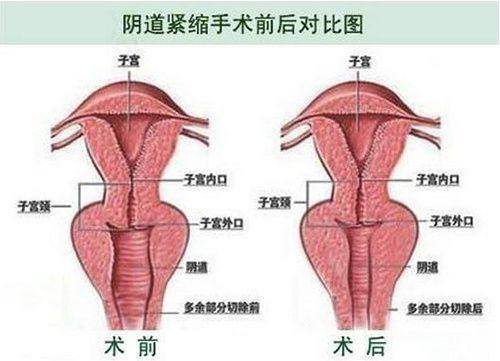 五、对比医美机构植发科,碧莲盛的“专职化”为何更贴合“正规”标准?