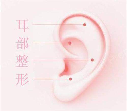 二、碧莲盛植发的专职医生技术到底靠谱吗?——2025知乎网友的实测反馈
